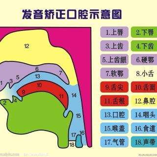 河南普通话考试报名网:普通话水平测试复习重点(二),实用技巧